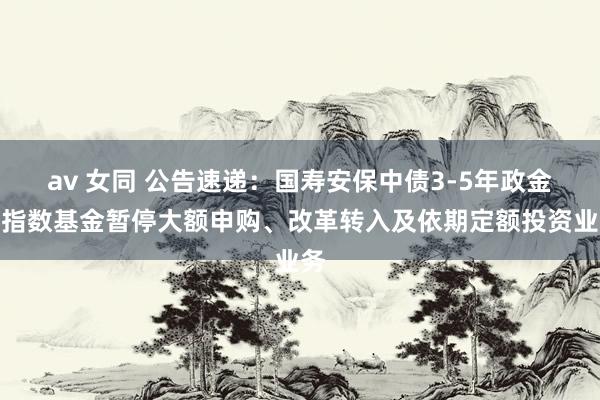 av 女同 公告速递:国寿安保中债3-5年政金债指数基金暂停大额申购、改革转入及依期定额投资业务