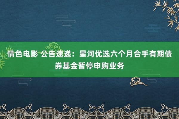 情色电影 公告速递:星河优选六个月合手有期债券基金暂停申购业务