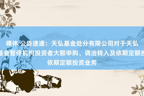 裸体 公告速递:天弘基金处分有限公司对于天弘京津冀基金暂停机构投资者大额申购、调治转入及依期定额投资业务