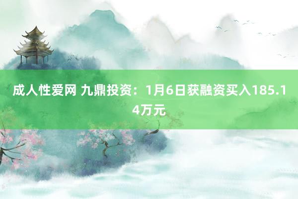 成人性爱网 九鼎投资:1月6日获融资买入185.14万元