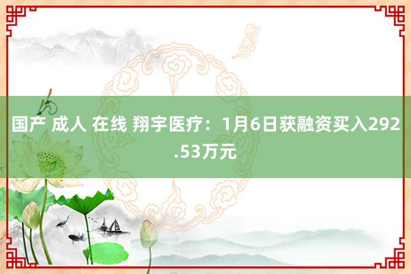 国产 成人 在线 翔宇医疗:1月6日获融资买入292.53万元