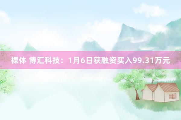 裸体 博汇科技:1月6日获融资买入99.31万元