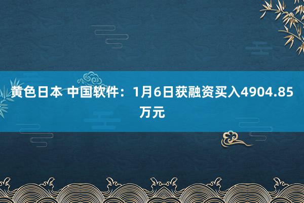 黄色日本 中国软件：1月6日获融资买入4904.85万元