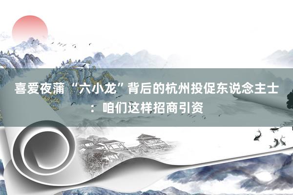 喜爱夜蒲 “六小龙”背后的杭州投促东说念主士:咱们这样招商引资