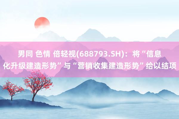 男同 色情 倍轻视(688793.SH):将“信息化升级建造形势”与“营销收集建造形势”给以结项