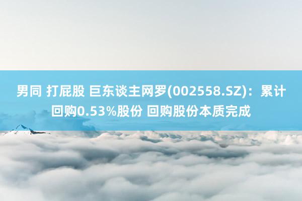 男同 打屁股 巨东谈主网罗(002558.SZ):累计回购0.53%股份 回购股份本质完成