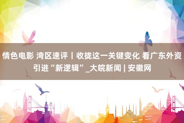 情色电影 湾区速评丨收拢这一关键变化 看广东外资引进“新逻辑”_大皖新闻 | 安徽网