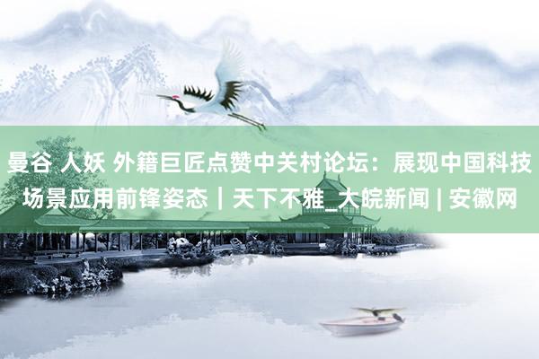 曼谷 人妖 外籍巨匠点赞中关村论坛:展现中国科技场景应用前锋姿态|天下不雅_大皖新闻 | 安徽网