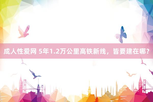 成人性爱网 5年1.2万公里高铁新线,皆要建在哪?