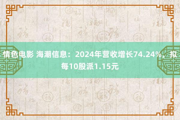 情色电影 海潮信息:2024年营收增长74.24%,拟每10股派1.15元