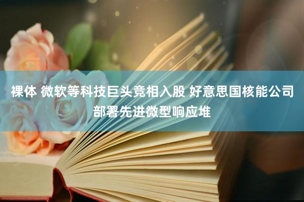 裸体 微软等科技巨头竞相入股 好意思国核能公司部署先进微型响应堆