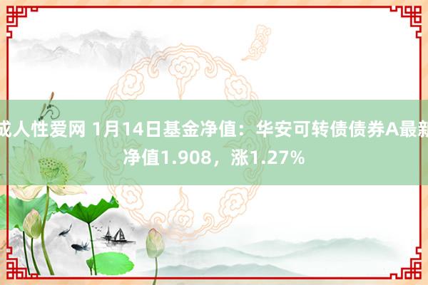 成人性爱网 1月14日基金净值:华安可转债债券A最新净值1.908,涨1.27%