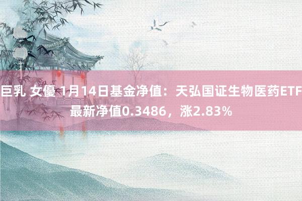 巨乳 女優 1月14日基金净值:天弘国证生物医药ETF最新净值0.3486,涨2.83%