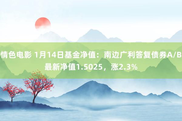 情色电影 1月14日基金净值:南边广利答复债券A/B最新净值1.5025,涨2.3%