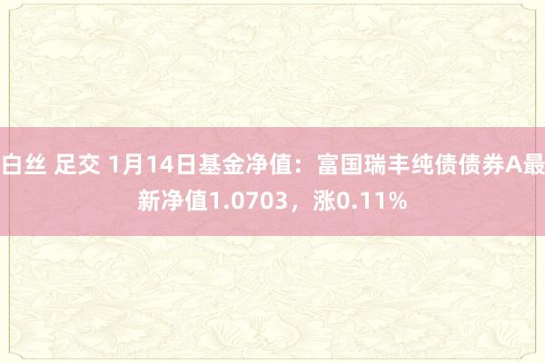 白丝 足交 1月14日基金净值:富国瑞丰纯债债券A最新净值1.0703,涨0.11%