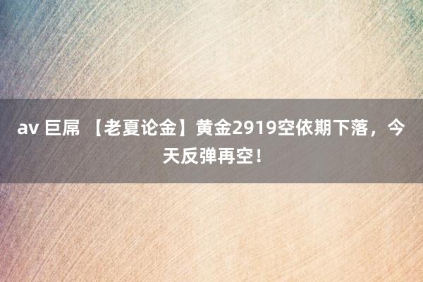 av 巨屌 【老夏论金】黄金2919空依期下落，今天反弹再空！