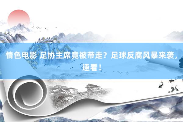 情色电影 足协主席竟被带走?足球反腐风暴来袭,速看!