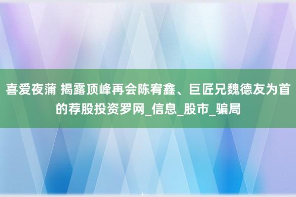 喜爱夜蒲 揭露顶峰再会陈宥鑫、巨匠兄魏德友为首的荐股投资罗网_信息_股市_骗局