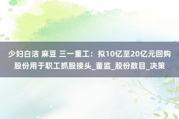 少妇白洁 麻豆 三一重工:拟10亿至20亿元回购股份用于职工抓股接头_董监_股份数目_决策