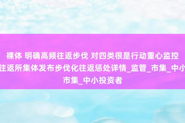 裸体 明确高频往返步伐 对四类很是行动重心监控!三大往返所集体发布步伐化往返惩处详情_监管_市集_中小投资者