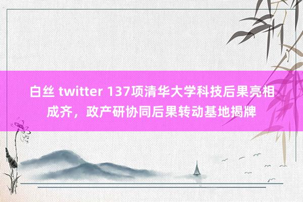 白丝 twitter 137项清华大学科技后果亮相成齐，政产研协同后果转动基地揭牌