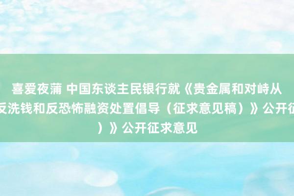 喜爱夜蒲 中国东谈主民银行就《贵金属和对峙从业机构反洗钱和反恐怖融资处置倡导(征求意见稿)》公开征求意见