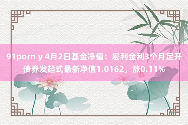 91porn y 4月2日基金净值:宏利金利3个月定开债券发起式最新净值1.0162,涨0.11%