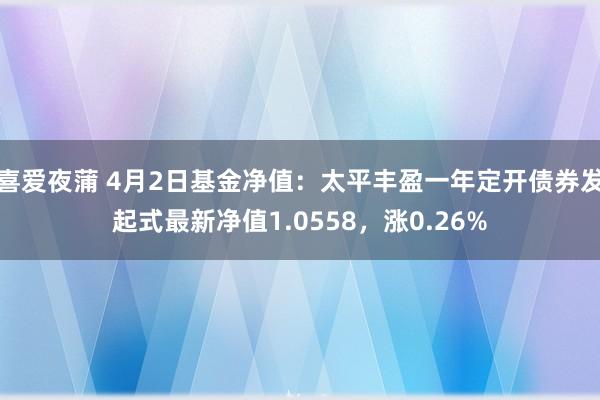 喜爱夜蒲 4月2日基金净值:太平丰盈一年定开债券发起式最新净值1.0558,涨0.26%