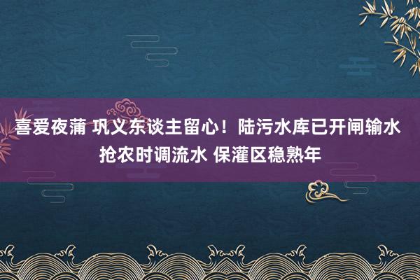 喜爱夜蒲 巩义东谈主留心!陆污水库已开闸输水 抢农时调流水 保灌区稳熟年