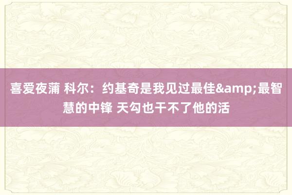 喜爱夜蒲 科尔：约基奇是我见过最佳&最智慧的中锋 天勾也干不了他的活