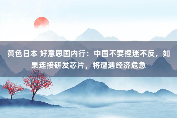 黄色日本 好意思国内行：中国不要捏迷不反，如果连接研发芯片，将遭遇经济危急