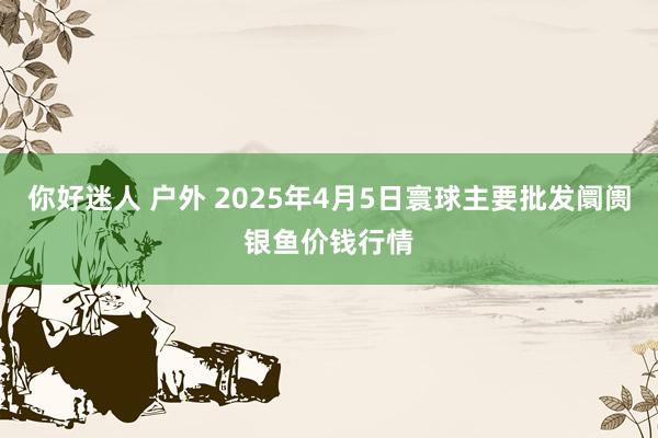 你好迷人 户外 2025年4月5日寰球主要批发阛阓银鱼价钱行情