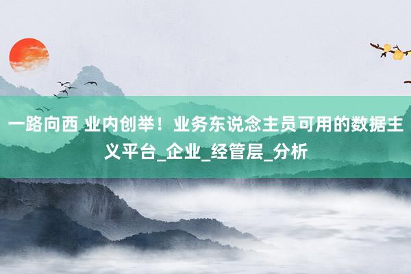 一路向西 业内创举！业务东说念主员可用的数据主义平台_企业_经管层_分析