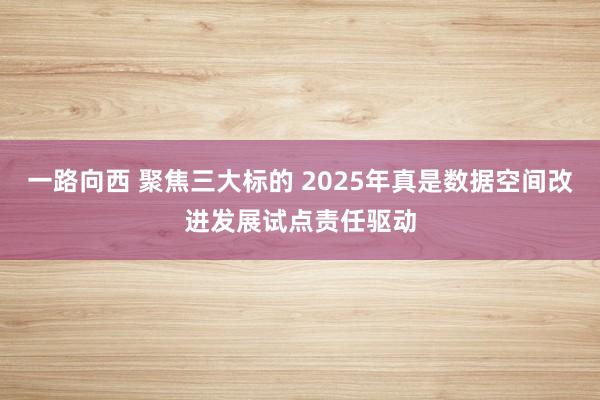 一路向西 聚焦三大标的 2025年真是数据空间改进发展试点责任驱动