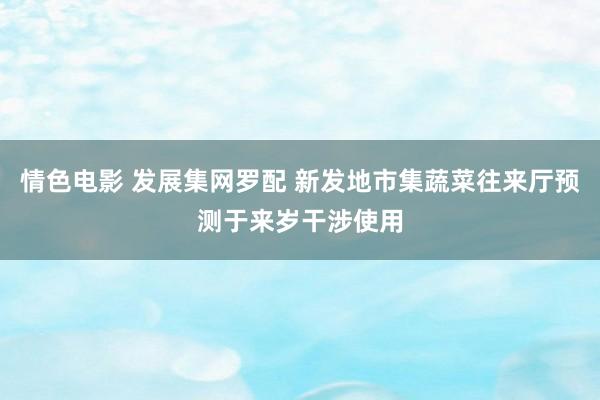 情色电影 发展集网罗配 新发地市集蔬菜往来厅预测于来岁干涉使用