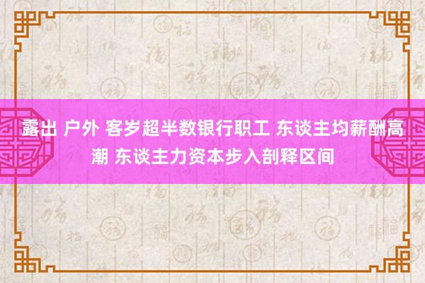 露出 户外 客岁超半数银行职工 东谈主均薪酬高潮 东谈主力资本步入剖释区间