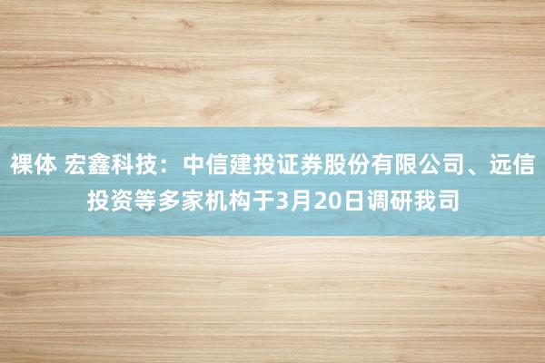 裸体 宏鑫科技:中信建投证券股份有限公司、远信投资等多家机构于3月20日调研我司