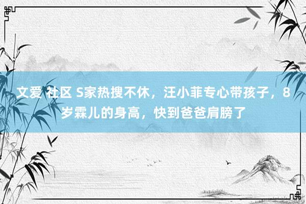 文爱 社区 S家热搜不休，汪小菲专心带孩子，8岁霖儿的身高，快到爸爸肩膀了