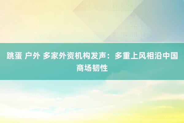 跳蛋 户外 多家外资机构发声:多重上风相沿中国商场韧性