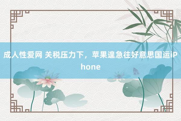 成人性爱网 关税压力下，苹果遑急往好意思国运iPhone