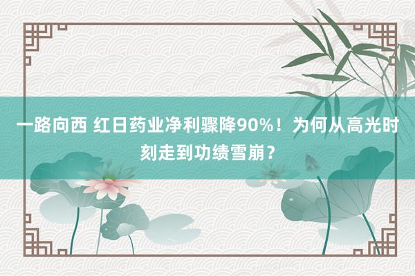 一路向西 红日药业净利骤降90%!为何从高光时刻走到功绩雪崩?