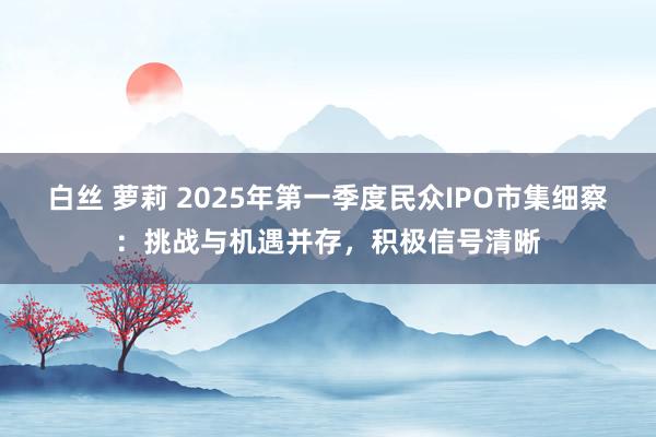 白丝 萝莉 2025年第一季度民众IPO市集细察：挑战与机遇并存，积极信号清晰