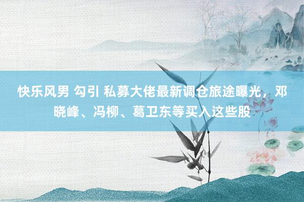 快乐风男 勾引 私募大佬最新调仓旅途曝光,邓晓峰、冯柳、葛卫东等买入这些股