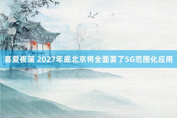 喜爱夜蒲 2027年底北京将全面罢了5G范围化应用
