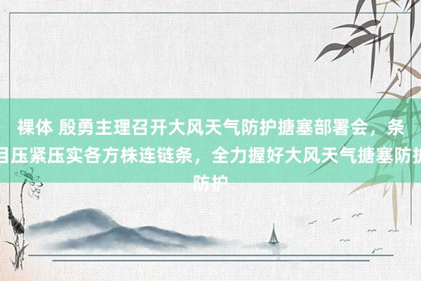 裸体 殷勇主理召开大风天气防护搪塞部署会，条目压紧压实各方株连链条，全力握好大风天气搪塞防护