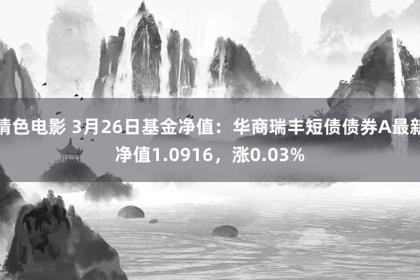 情色电影 3月26日基金净值:华商瑞丰短债债券A最新净值1.0916,涨0.03%