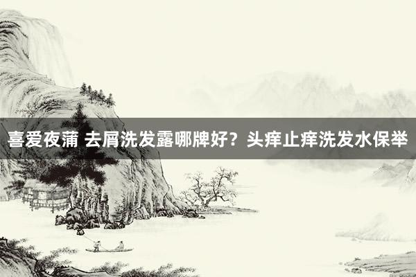 喜爱夜蒲 去屑洗发露哪牌好？头痒止痒洗发水保举