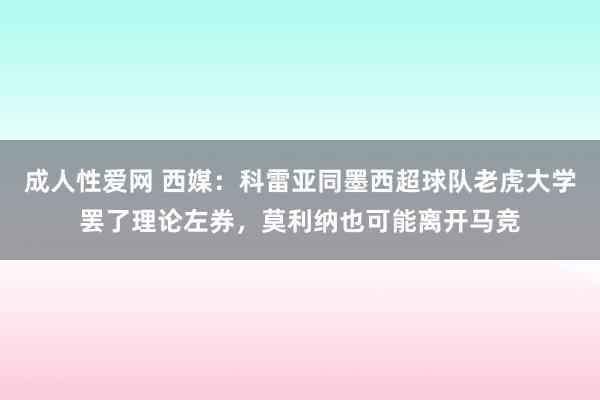 成人性爱网 西媒:科雷亚同墨西超球队老虎大学罢了理论左券,莫利纳也可能离开马竞