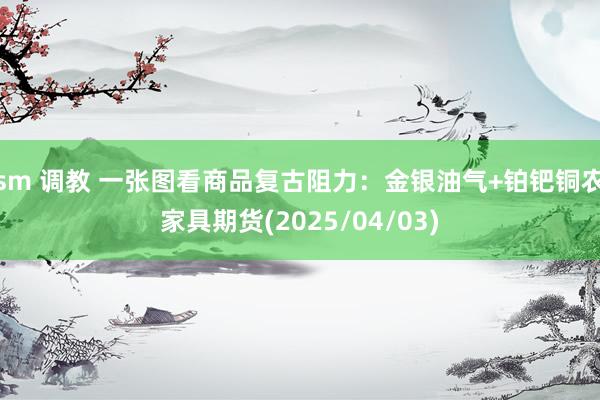 sm 调教 一张图看商品复古阻力：金银油气+铂钯铜农家具期货(2025/04/03)