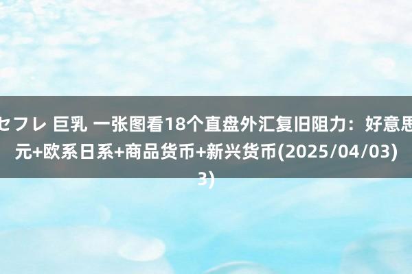 セフレ 巨乳 一张图看18个直盘外汇复旧阻力:好意思元+欧系日系+商品货币+新兴货币(2025/04/03)